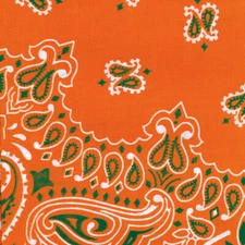 Carolina Hav-A-Hank Paisley Bandanna 22"X22"-Orange