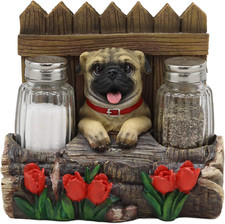 Whimsical Panting Pug Dog by Home Wooden Fences and Red Roses Flower Bed Dinner