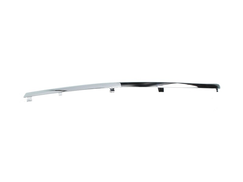 Front Left Bumper Trim Strip For: VW PASSAT B5 FL 10.00-05.05