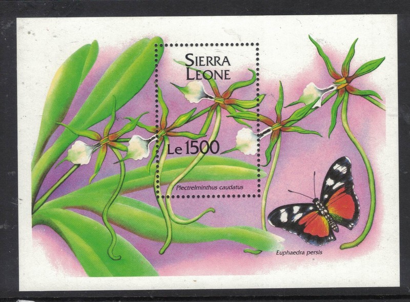 Sierra Leone SG 1749 MNH (4hee)