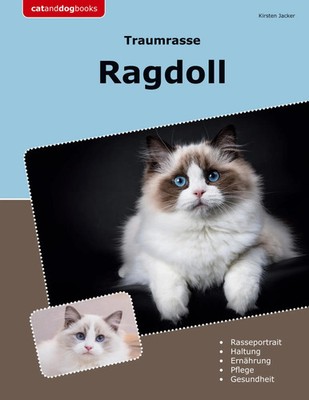 Kirsten Jacker | Traumrasse Ragdoll | Taschenbuch | Deutsch (2024) | 170 S.