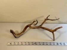 Manzanita Wood, Burnt Driftwood, Reptile Tank Decor, aquascape, Terrarium
