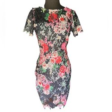 ASOS Paper Doll Colorful Floral Lace Coquette Scalloped Feminine Dress 4P