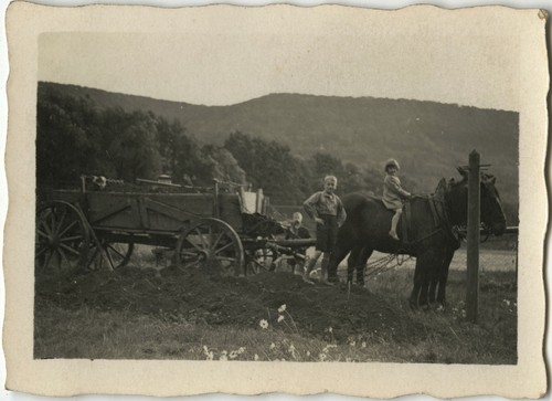 Carte Postale Photo Ancienne – Agriculture Années 20 (Allemagne)
