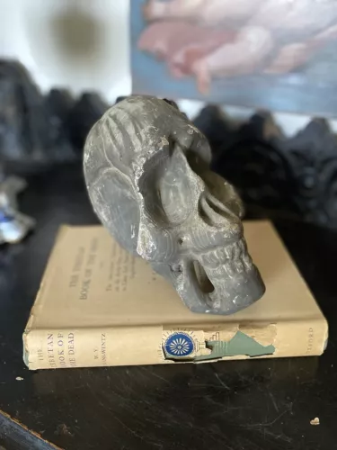 unusual antique wooden skull, gothic unusual curio  image 1