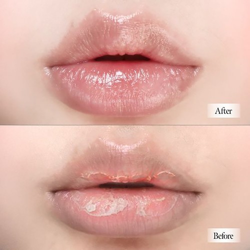 XOUL Ever Moist Lip Balm 8g K-Beauty - Picture 4 of 14