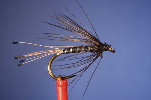 Black Pennell - Mouche Noyée - Photo 1/3