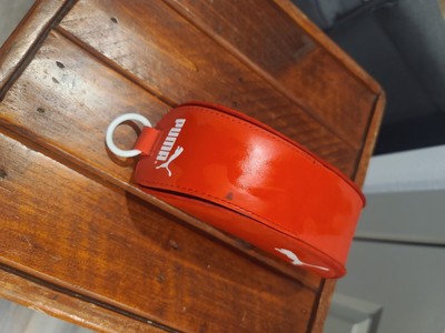 Puma Glasses Case Red Hard Shell Protective Holder Half Moon Flip Top + 1 other
