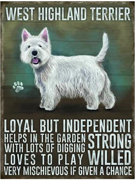 WEST HIGHLAND TERRIER Metal DOG Retro wall sign plaque BATHROOM GARAGE Gift - Image 1 of 1
