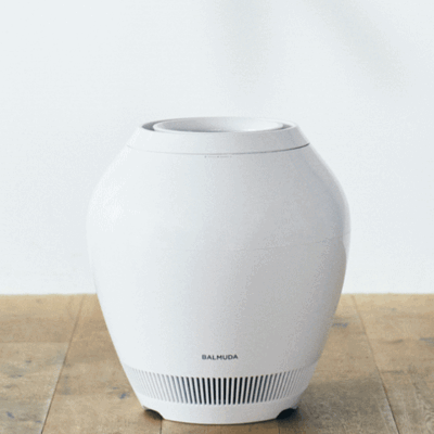 Balmuda ERN-1100SD-WK Rain Humidifier - White for sale