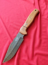 10" CFK-iPak Vertical Grain Damascus Steel Hunter w/ Leather Sheath & Angle Hold