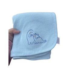 Parent's Choice Thermal Baby Blanket Dinosaur Blue Embroidery Security Lovey Boy