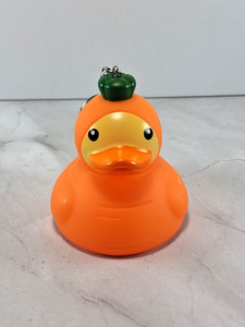 Carrot Duck Handmade  Keychain Easter