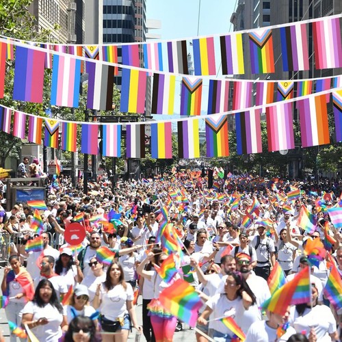 Bunting Triangle Flag's Party Fete Occasions Decorations 30+ Designs To Choose - Picture 99 of 103