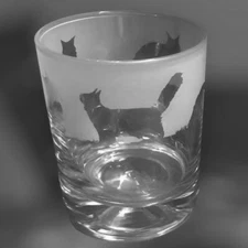 MAINE COON CAT Frieze Boxed 30cl Glass Whisky Tumbler
