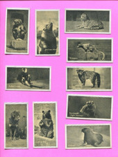 1925 CARRERAS CIGARETTES A "KODAK" AT THE ZOO 2ND SERIES 10 TOBACCO CARD LOT
