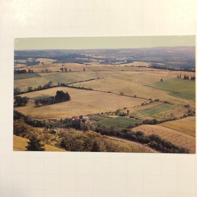 Greenhill Lookoff Pictou Co Nova Scotia Canada Chrome Era Postcard