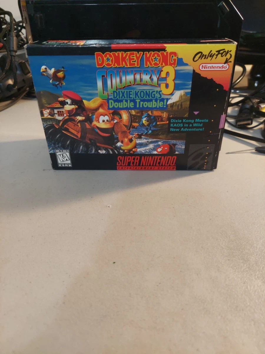 Donkey Kong Country 3: Dixie Kong's Double Trouble! Video Games