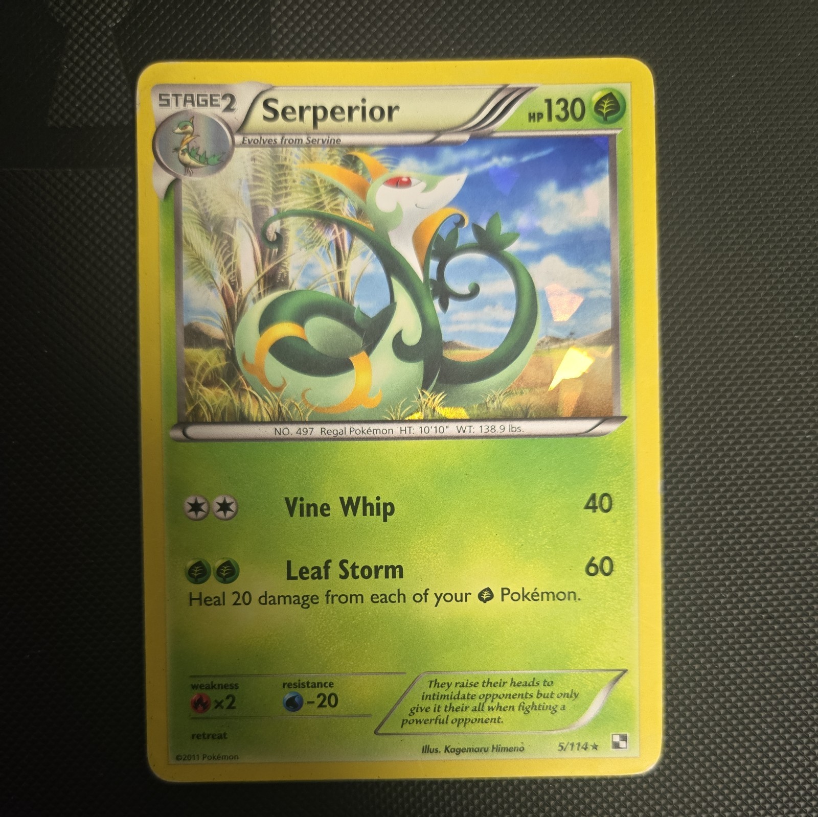 Serperior - (Cracked Ice Holo) 005/114 Deck Exclusives Holo - MP - Pokemon TCG