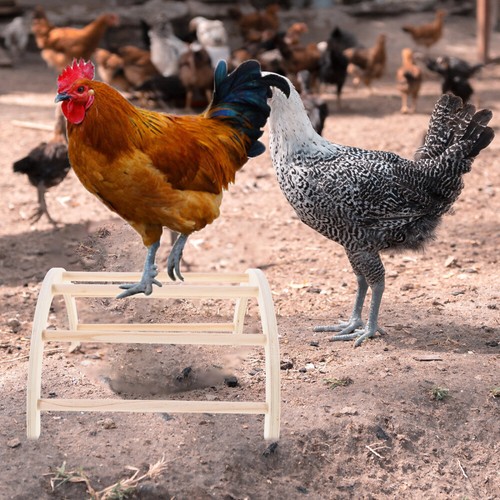 4 Pcs Perche De Poulet Ensemble Darches Dentraînement Pour points de vente Poulets Volailles