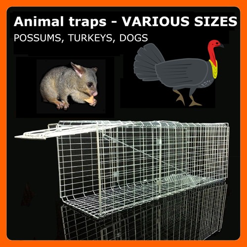 Animal Traps and Cages for Possum / Turkey / Fox / Dog / MULTIPLE