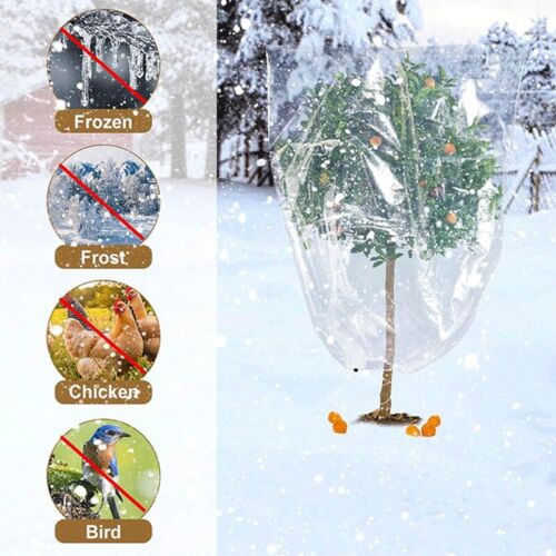 2Er-Pack Winterpflanzenabdeckungen, Frostschutz, Wiederverwendbare Pflanzen3133 - Bild 1 von 9