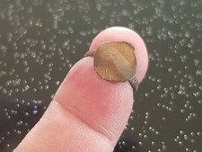 Very rare Roman ladies little copper alloy ring. Please read description L38w