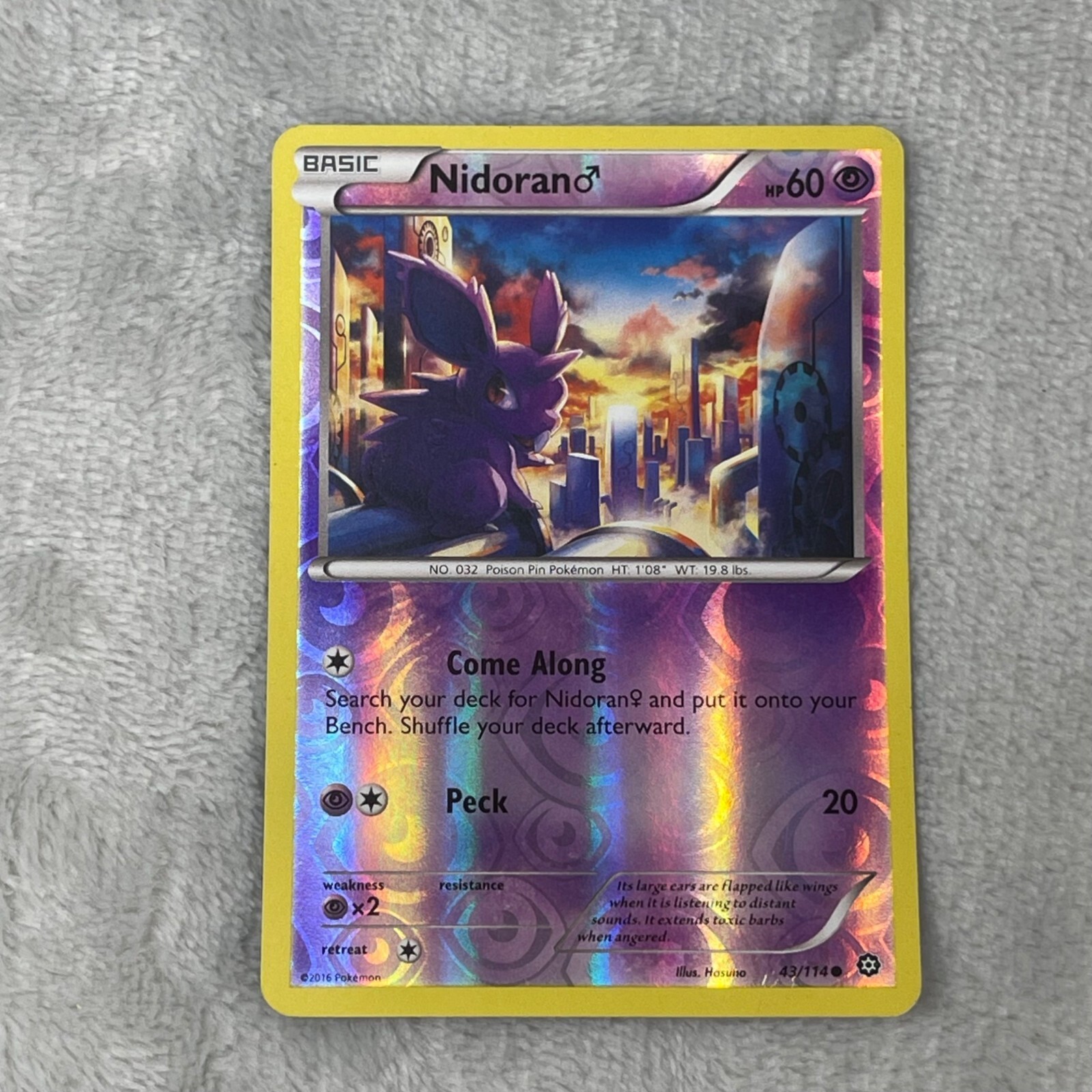 Nidoran 43/114 - Steam Siege - Common - Reverse Holo - Pokemon Card TCG - MP