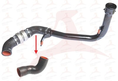 8-Quart Digital Air Fryer