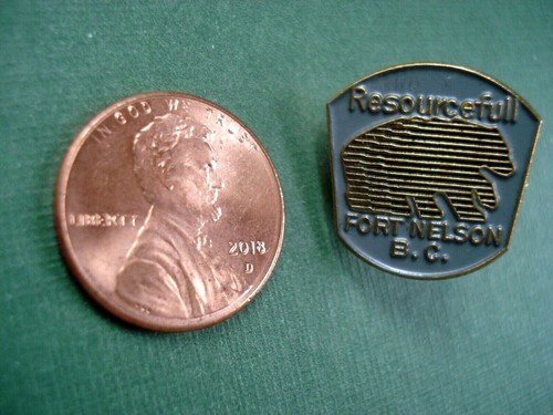 Lot of 2 Resourcefull Fort Nelson BC British Columbia Canada Enamel Pin Pinback - Picture 5 of 5