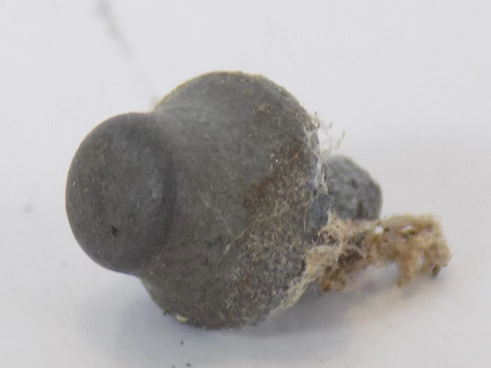 VTG / S / AMERICAN FLYER / LOCOMOTIVE #21160 / METAL BELL / WHEELS / PARTS - Image 3 of 3