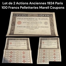 Lot de 2 Actions Anciennes 1924 Paris 100 Francs Pelletteries Mareil Coupons