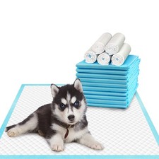 Pet Training and Puppy Pads 24"x24" 75 Count , Super Absorbent Pee Pads for ...