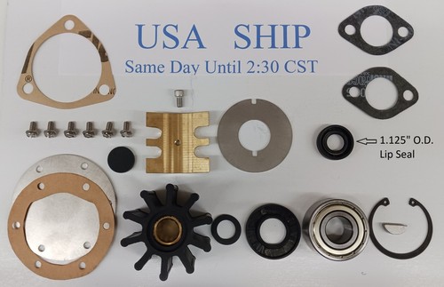 Genuine Jabsco Rubber Impellers For Water Pump 836-0001-P Profile O Impeller Gasket Kit I.331758746 - Foto 3