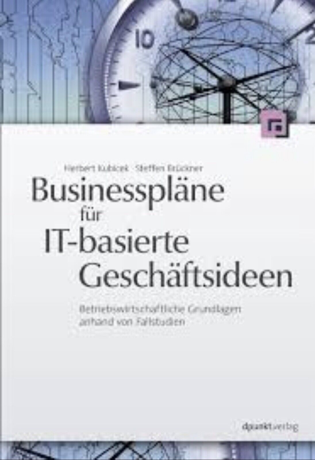 Businesspläne für IT-basierte Geschäftsideen von Herbert Kubicek - Herbert Kubicek, Steffen Brückner