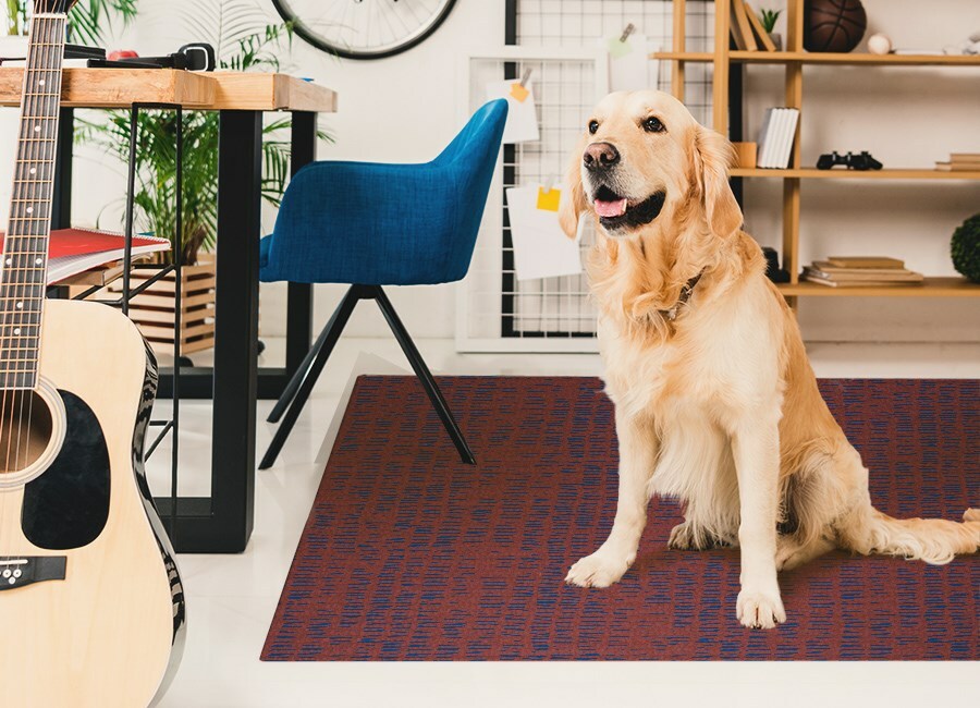 Vinyl Indoor Washable Area Rug Water Floor Mat Kitchen 80x120 carpet ...