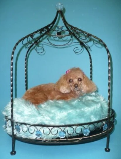 Jeweled Princess Pet Bed - Blue
