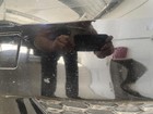Picture 15 of 24
