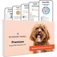 Panel Premium Dog DNA Kit: Most Comprehensive with 265 Health Tests, Identif...