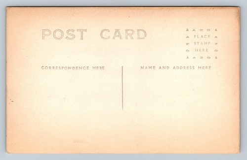RPPC Lodge Road BRISTOL New Hampshire NH Dirt Path Scenery ANTIQUE Postcard AZO - Picture 2 of 2