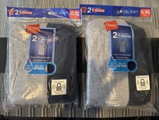 Hanes Boys T-Shirts 2 pack Size XL 18-20 Tagless Gray Blue Wicking