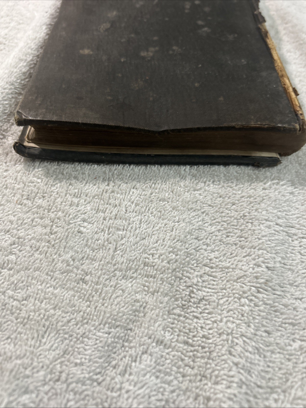 Picture 4 of 19