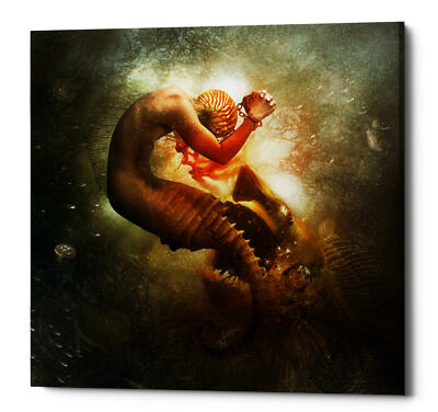 Cortesi Home ''Wanderer'' by Mario Sanchez Nevado, Giclee Canvas Wall Art