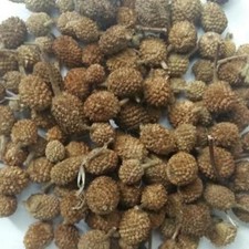 Gorakhmundi Seeds, Sphaeranthus Indicus Linn, Indian Raw  Whole Herbs