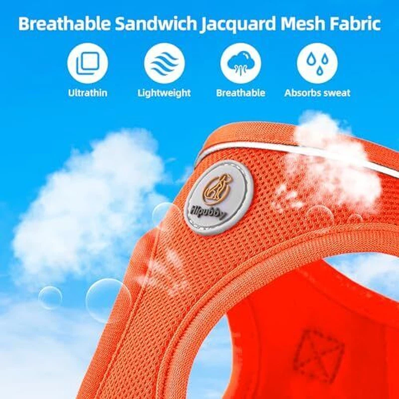 Dog Harness with Leash Set, X-S(9.5-10.5"N