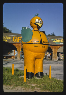 Artesia Gardens Citrus Stand orange bird statue Hammock Florida 1980s Old Photo