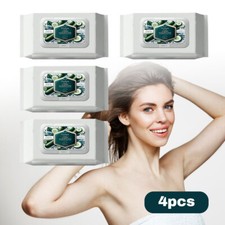 Flushable Wet Wipes 4 Packs 160 Wipes Fresh Scent Personal Hygiene Wipes