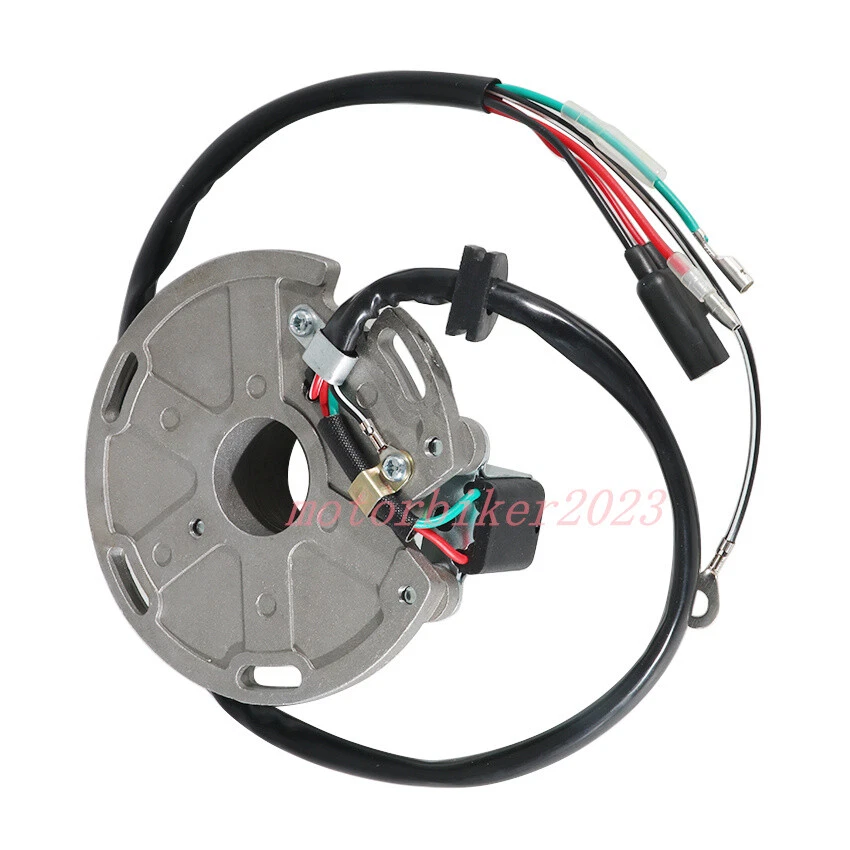 Bobina de estator generador Magneto para TM Racing MX 125 MX 250 21-01 SMX 125 08-05 Foto 4 de 4