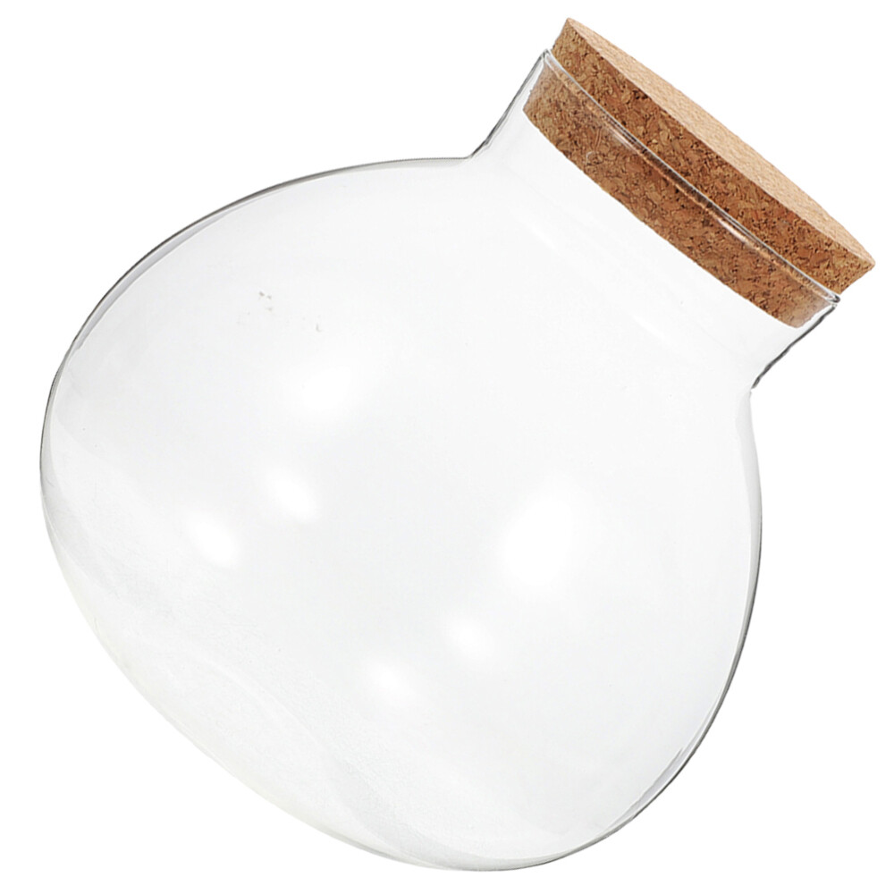 Eco-friendly cork terrarium planter vase with glass bottle and lid