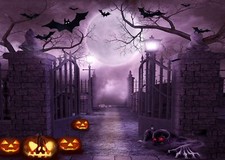 9x6FT Halloween Pictorial Cloth Customized Photo Backdrop Background Prop